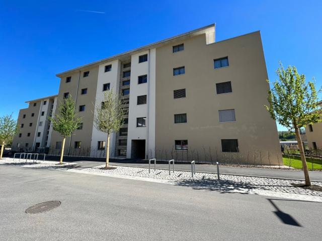 Rent a 5 ½ rooms apartment in Zwingen Flatfox