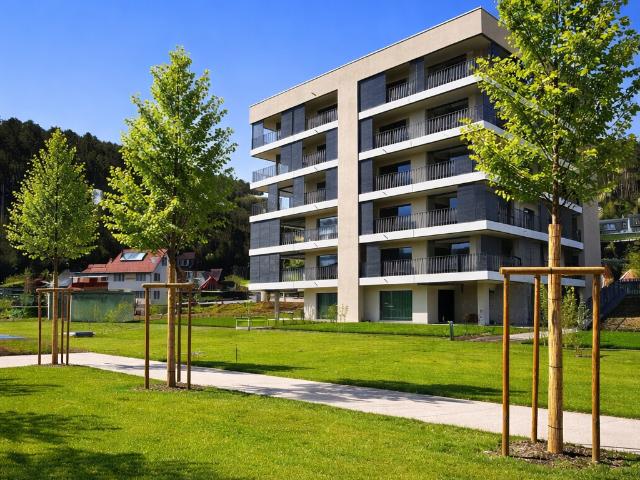 Rent a 5 ½ rooms apartment in Zwingen Flatfox