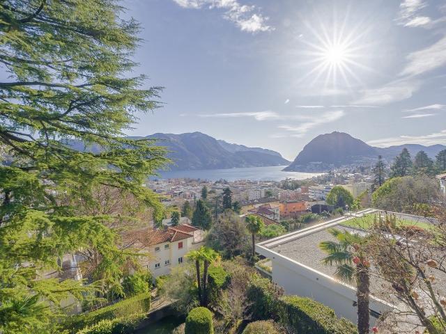 Rent a 5 ½ rooms attic flat in Massagno Flatfox
