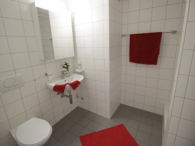 Rent a 5 ½ rooms attic flat in Tafers Flatfox