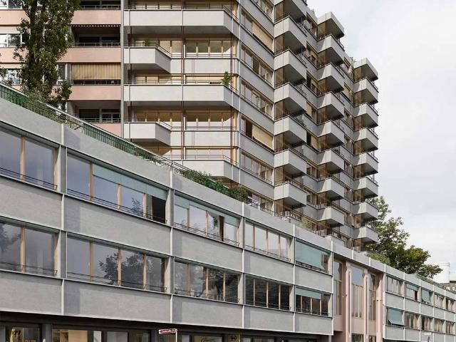 Rent a 5 rooms duplex in Genève Flatfox