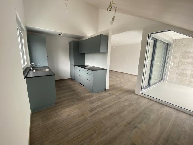 Rent a 5 ½ rooms duplex in Oberriet SG Flatfox