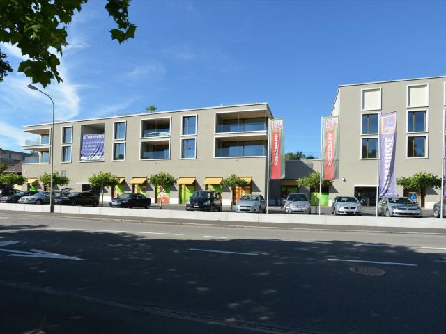 Rent a 5 ½ rooms duplex in Männedorf Flatfox