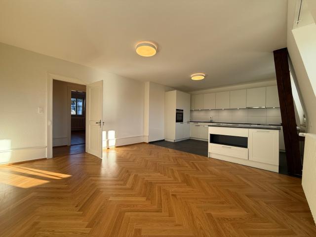 Rent a 5 ½ rooms roof flat in Basel Flatfox