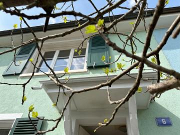 Rent a 5 ½ rooms row house in Basel Flatfox
