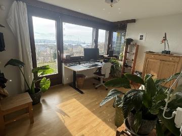 Rent a 5 rooms single house in Eschenbach Flatfox