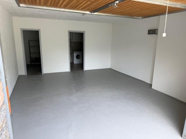 Rent a 5 rooms single house in Lugano Flatfox