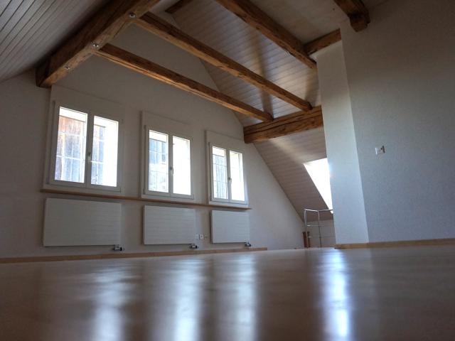 Rent a 5 ½ rooms single house in Wermatswil Flatfox