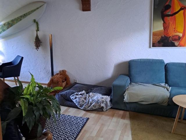 Rent a 5 ½ rooms single house in Zürich Flatfox