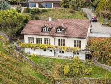 Rent a 6 ½ rooms villa in Paudex Flatfox