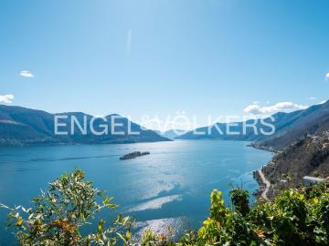 Rent a 6 ½ rooms villa in Ronco s. Ascona Flatfox