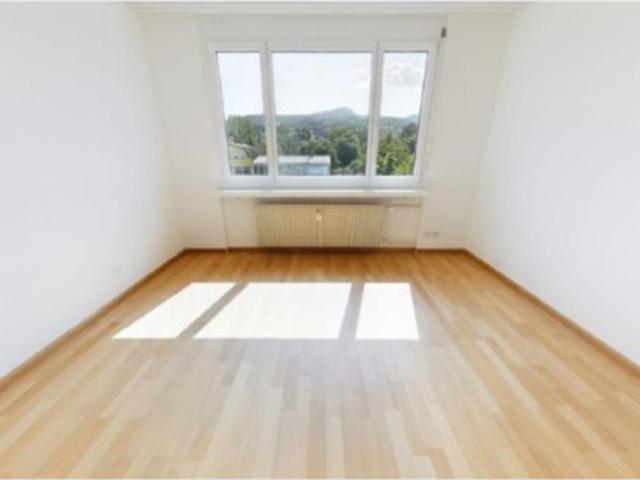 Rent a 6 rooms apartment in Aesch Flatfox