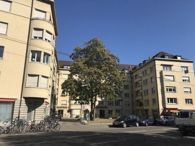 Rent a 6 rooms apartment in Basel Flatfox