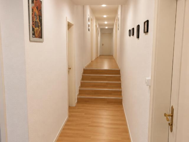 Rent a 6 ½ rooms apartment in Buchs Flatfox