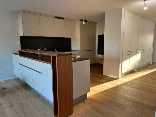 Rent a 6 rooms duplex in Zürich Flatfox