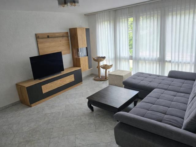 Rent a 6 rooms single house in Allschwil Flatfox