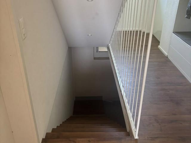 Rent a 6 ½ rooms single house in Lostorf Flatfox
