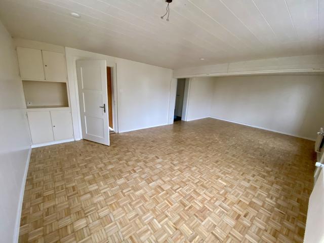 Rent a 6 ½ rooms single house in Neudorf Flatfox