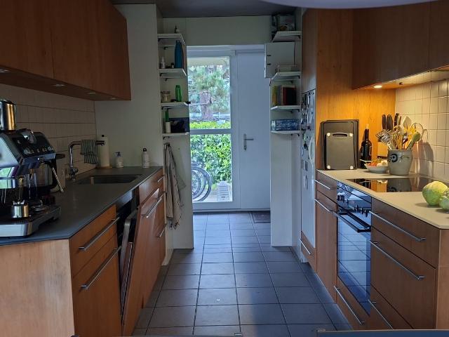 Rent a 6 rooms single house in Rupperswil Flatfox
