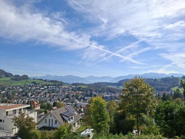 Rent a 6 ½ rooms single house in Wald ZH Flatfox