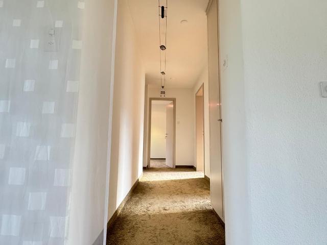 Rent a 6 rooms single house in Therwil Flatfox