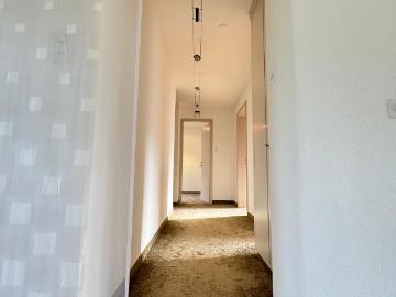 Rent a 6 rooms single house in Therwil Flatfox