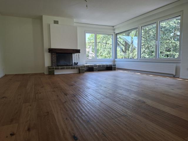 Rent a 6 rooms single house in Zürich Flatfox