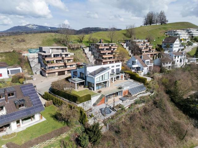 Rent a 8 rooms villa in Wagen Flatfox