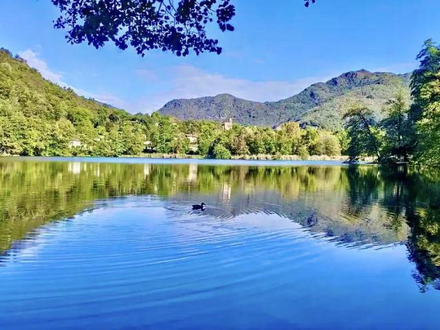 Rent a 8 rooms villa in Origlio Flatfox