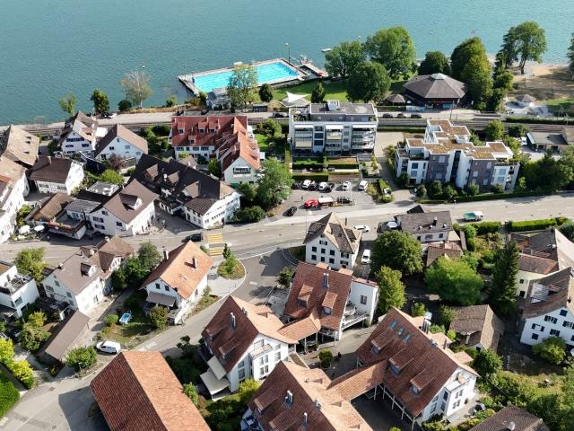 Rent a 8 ½ rooms apartment in Horgen Flatfox