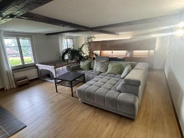 Rent a 8 ½ rooms single house in Cham Flatfox