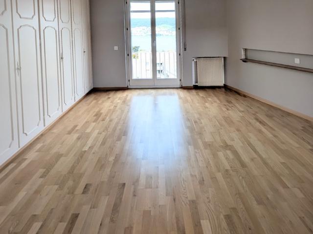Rent a 8 ½ rooms single house in Feldmeilen Flatfox