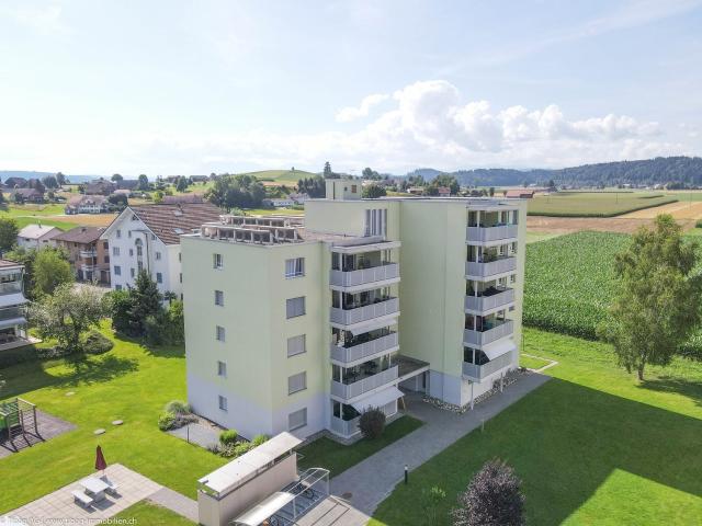 Rent a apartment in Nebikon Flatfox
