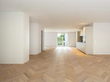 Rent a apartment in Aarburg Flatfox