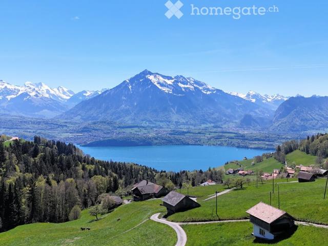 Rent a apartment in Ringoldswil Flatfox