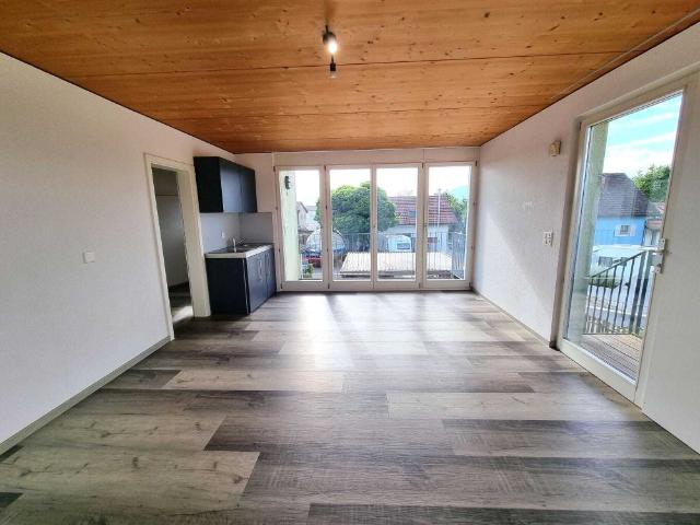 Rent a bright 1 room studio with balcony in Wolfwil