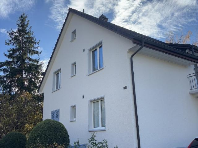 Rent a terrace flat in Niederdorf Flatfox