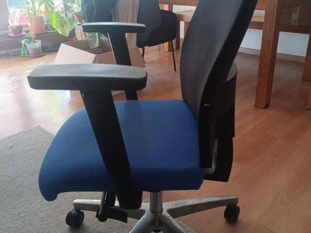 rent wohnung