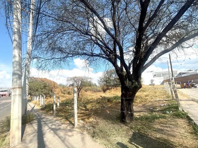 RENTA TERRENO EN BLVD A POCITOS