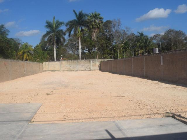 RENTA terreno 750 m2 x Av. Rogelio Castorena