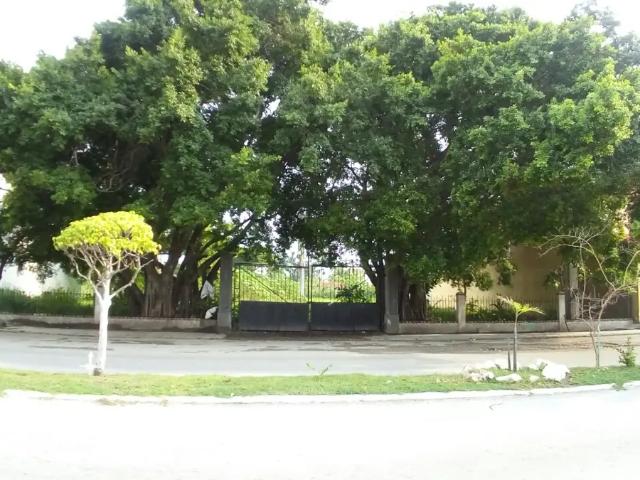 Renta – Av. Castellot, Col. Miami