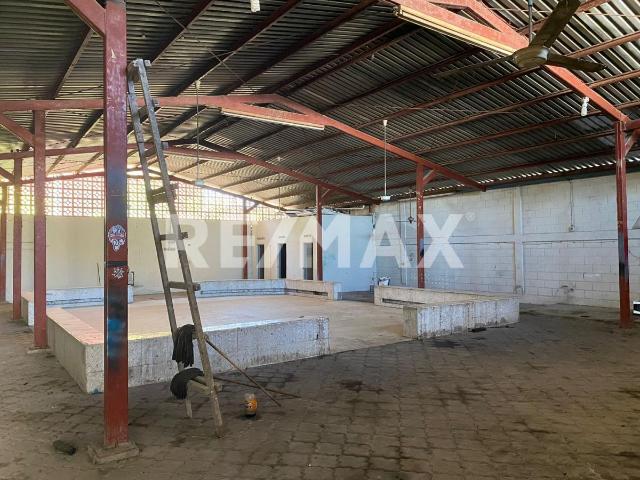 Renta Bodega con Local Comercial Centro Montemorelos Nuevo Le?n, M?xico. 4