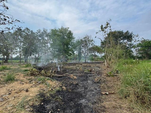 Renta De Terreno Comercial En Tuxtepec Oaxaca