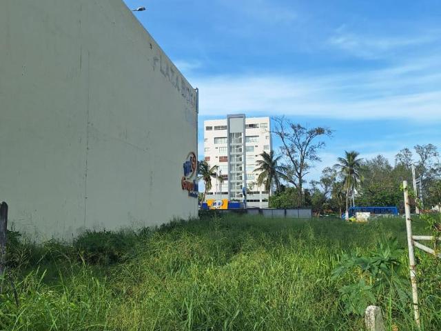 Renta de Terreno en Av. Ruiz Cortines, frente a Fracc. Costa de oro, Boca del Rio, Ver