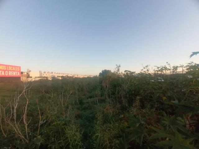 Renta de terreno en Jardines de la Hacienda, Quer?taro