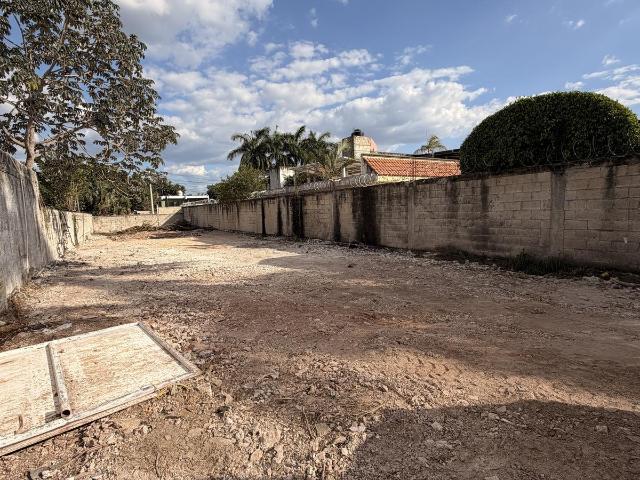 Renta de Terreno en San Antonio Kaua 506 m2