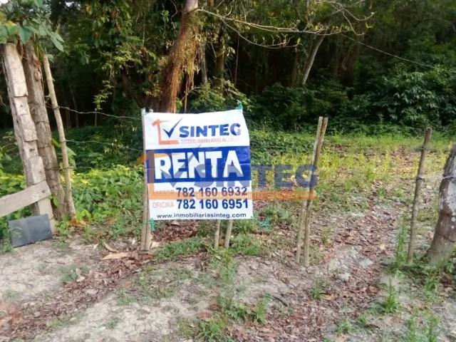 RENTA DE UNA HECTAREA EN CARR. TIHUATLAN CASTILLO DE TEAYO, VERACRUZ