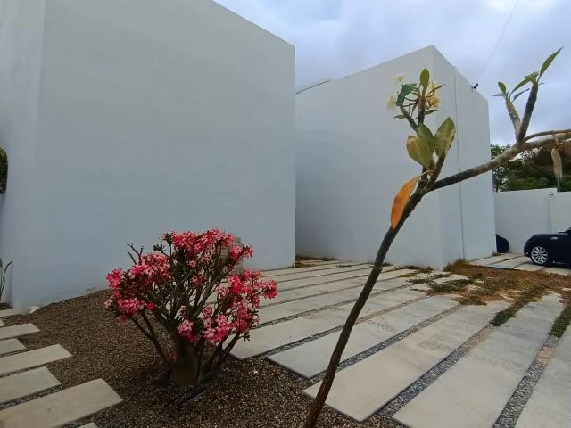 Renta de casa nueva