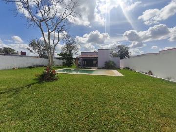 Chicxulub Pueblo, Yucatan - Jardín, Terraza