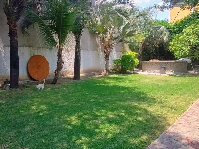 RENTA DE CASA DE UN PISO, AMPLIO JARDIN, IDEAL PARA NEGOCIO